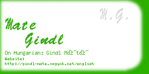 mate gindl business card